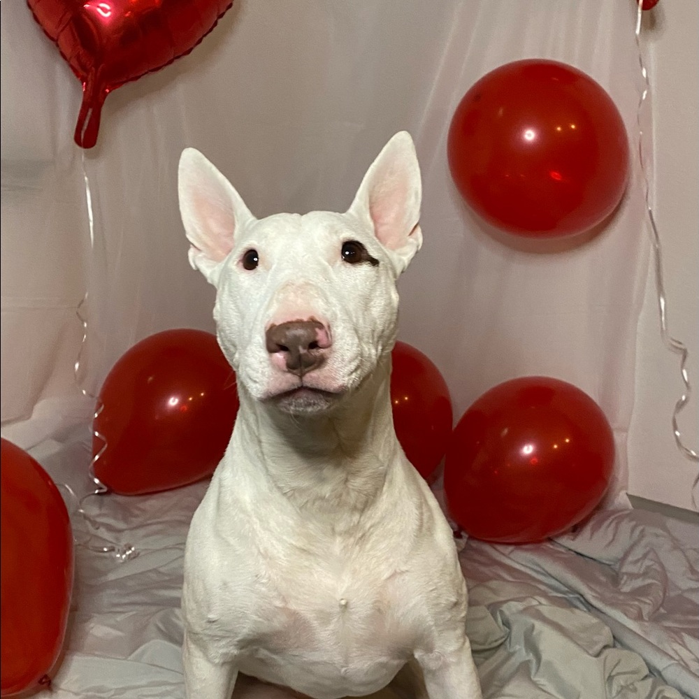 Meet your Posher, Kristy